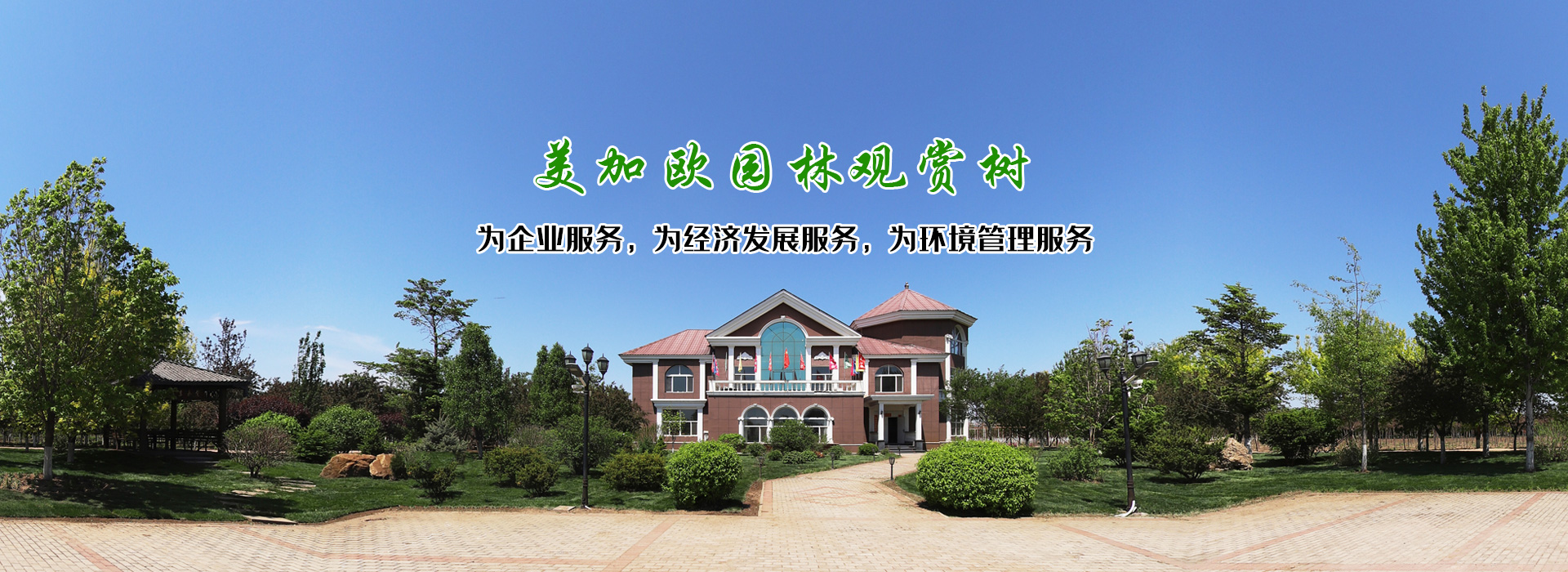 觀賞樹(shù)