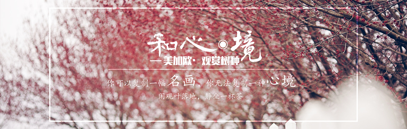 沈陽美加歐觀賞樹種研發(fā)有限公司
