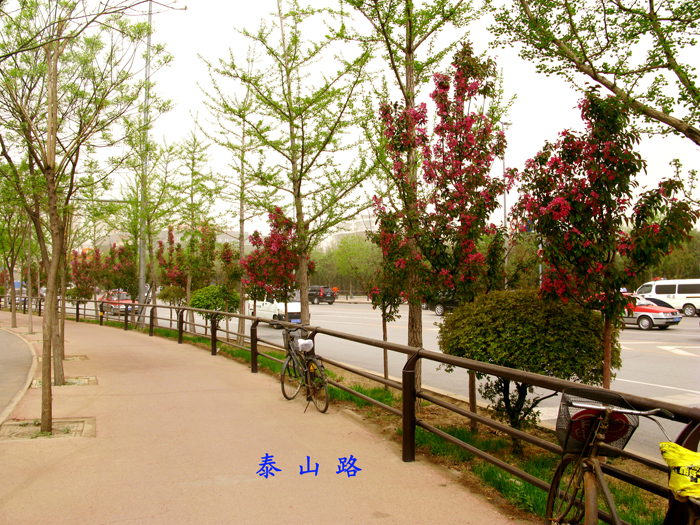 沈陽市泰山路